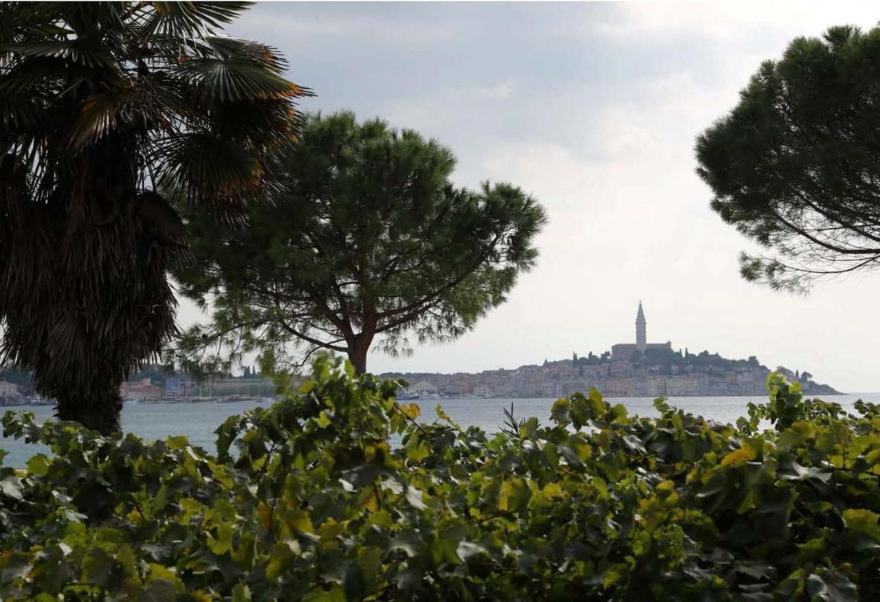 Linea Mare Apartment Rovinj Buitenkant foto